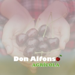 Agrícola Don Alfonso